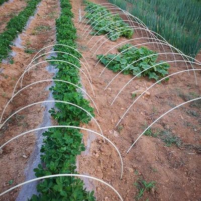 Anpassungsfähige Anti-Aging-GFRP-Pflanzenpfähle für das Baum- oder Gartenunterstützungs-Schneiden