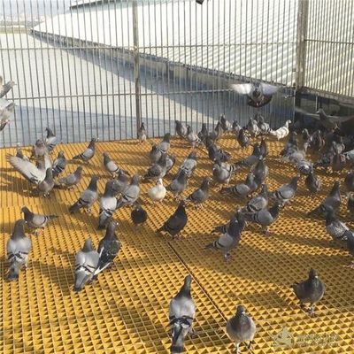 Freie Fläche 40% 80% FRP-Raster für Viehzucht für Geflügel/Vögel/Tauben