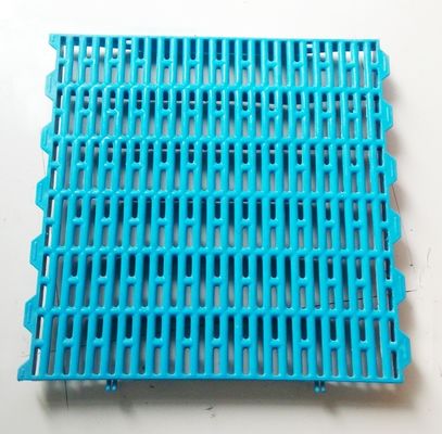 65x15mm Maschengröße Schweine-Plastik-Schieferboden für Färbungskasse/Schweinestücke