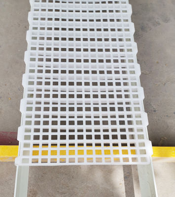 1200x500x50mm Geflügel Hühnerfarm Haus Kunststoff-Schienenboden Industrie-Design