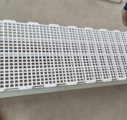 1200x500x50mm Geflügel Hühnerfarm Haus Kunststoff-Schienenboden Industrie-Design