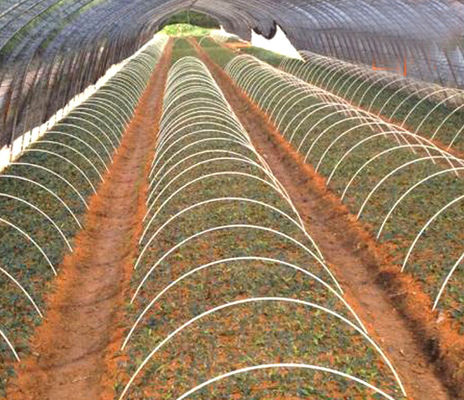 1 m bis 11,6 m Länge Glatte FRP GFRP Glasfaserstange zur Unterstützung von landwirtschaftlichen Tunneln